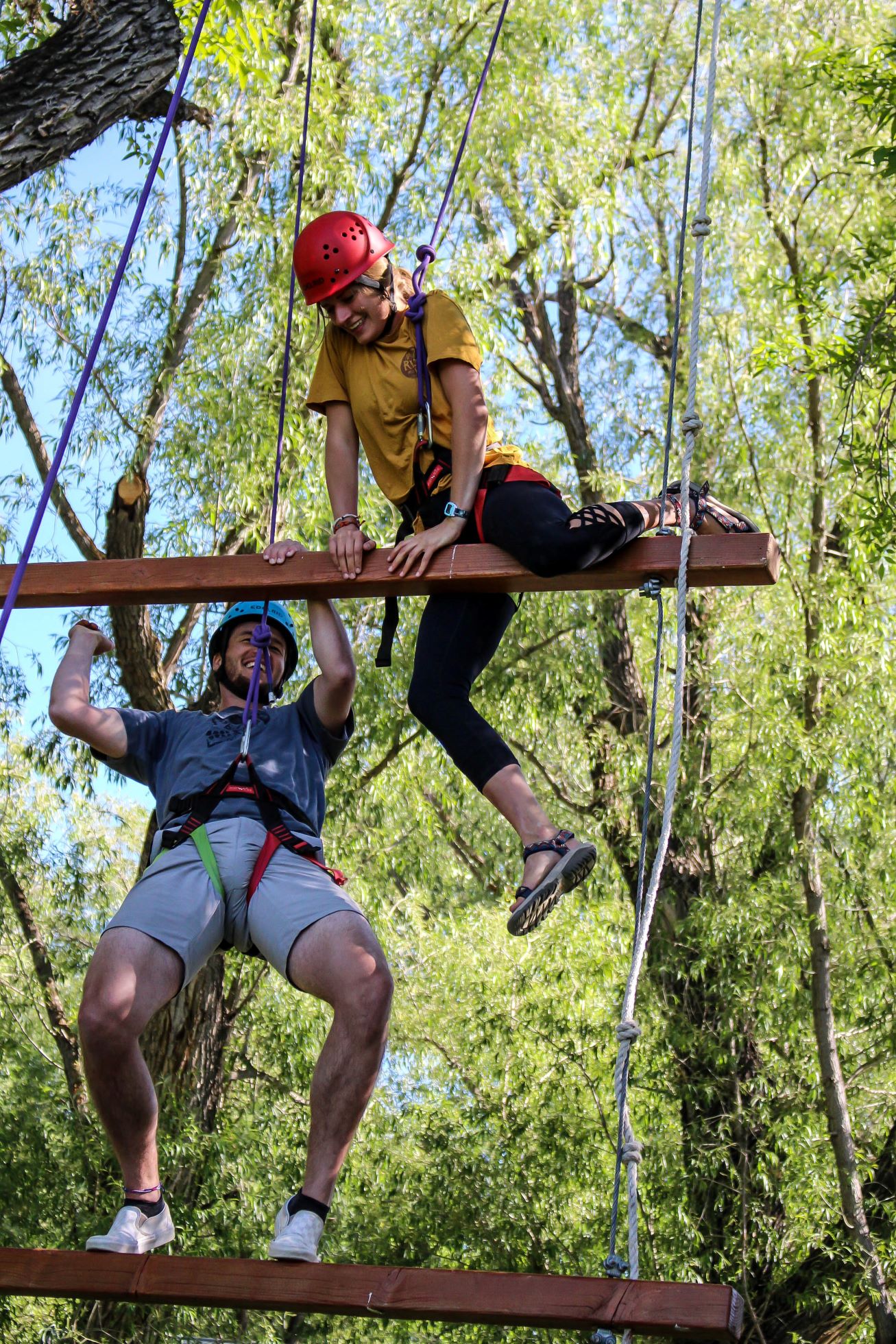 edit (21 of 33) (1960)